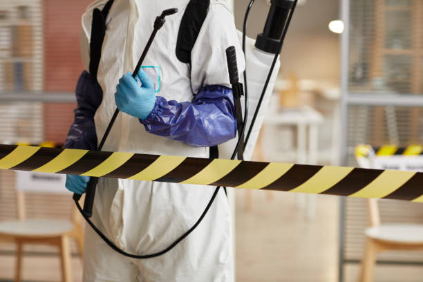 Professional Sewage Cleanup technician working in Lyndhurst, NJ