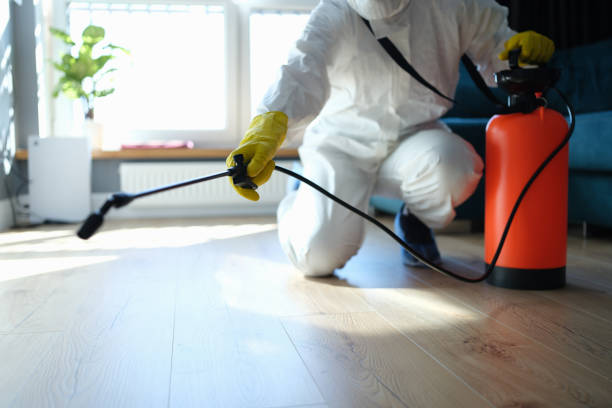 Reliable Sewage Cleanup contractor in Lyndhurst, NJ by Trauma Clean Pros